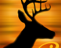 Deer Hunter 2014 v2.8.3 Hile Mod Apk İndir