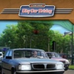 City Car Driving Full İndir